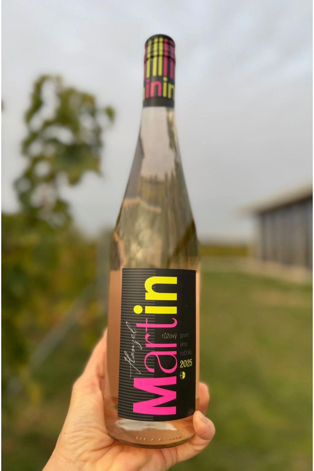 35493-1_han-0277-martin-ruzovy